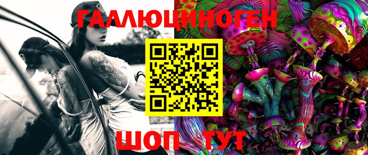цены наркотик  Псилоцибиновые грибы GOLDEN TEACHER  Вход с VPN  Черняховск 